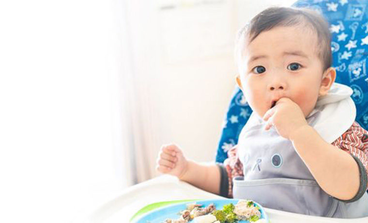 お食事エプロン